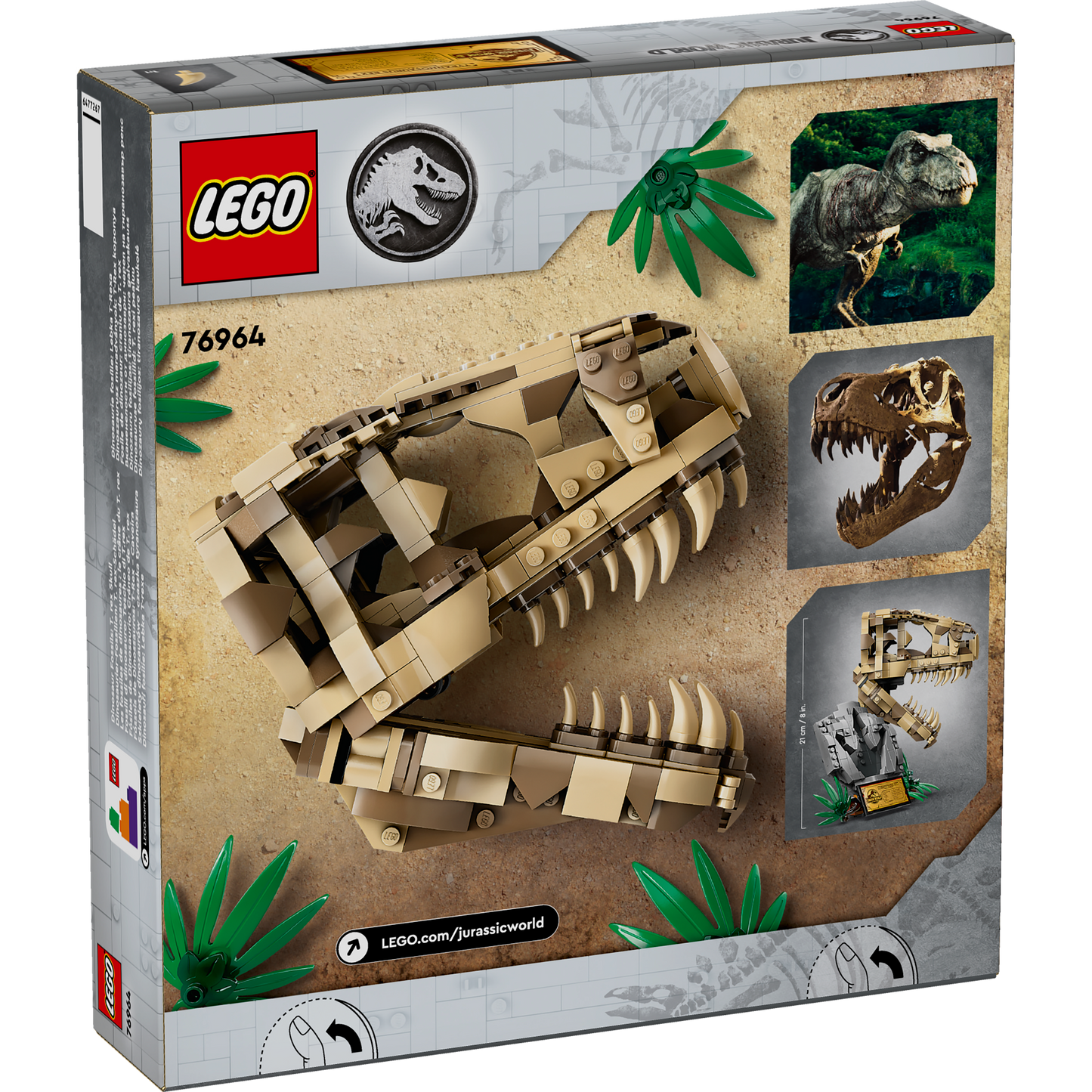 76964 Dinosaurusfossielen: T. rex-schedel