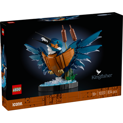 10331 Kingfisher Bird