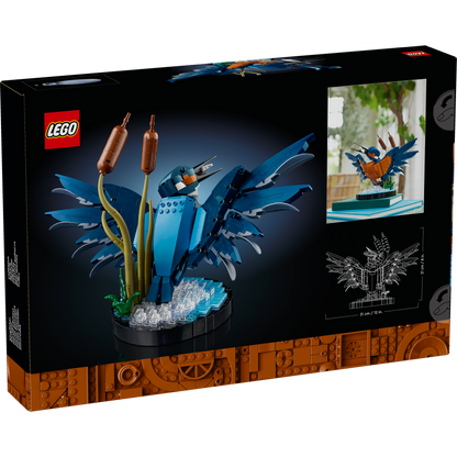 10331 Kingfisher Bird