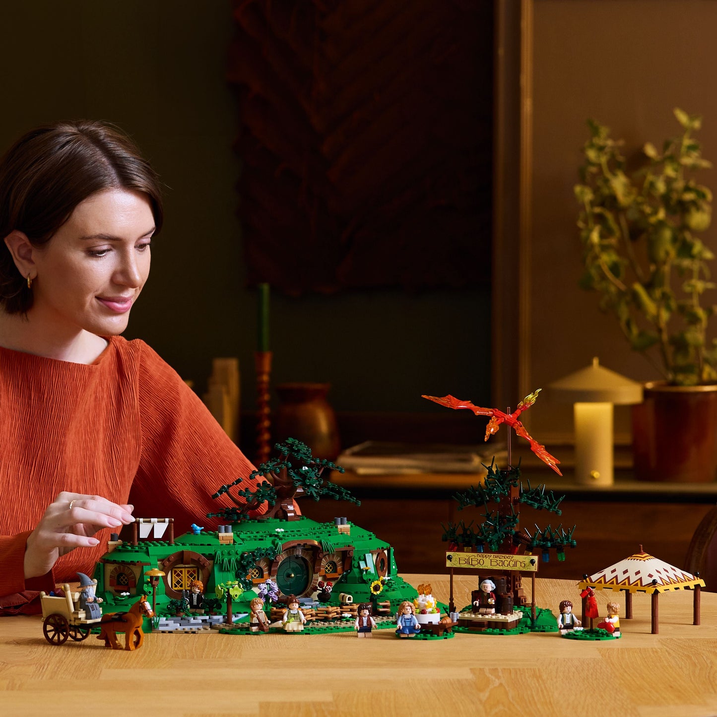 10354 The Lord of the Rings: The Shire