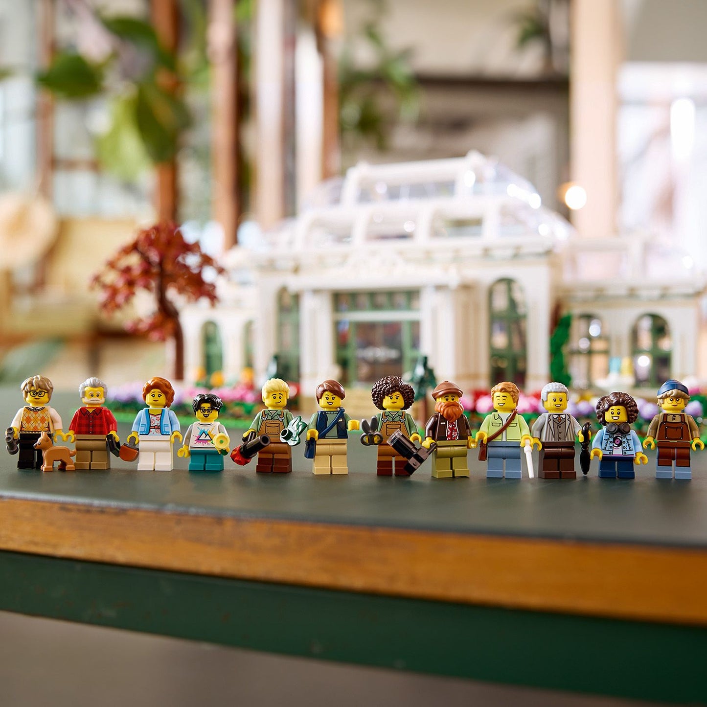 21353 The Botanical Garden