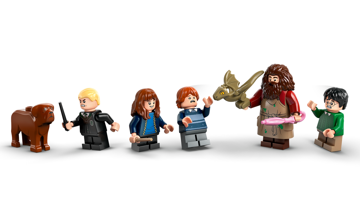 LEGO® Harry Potter 76428 Hagrids Hütte: Ein unerwarteter Besuch