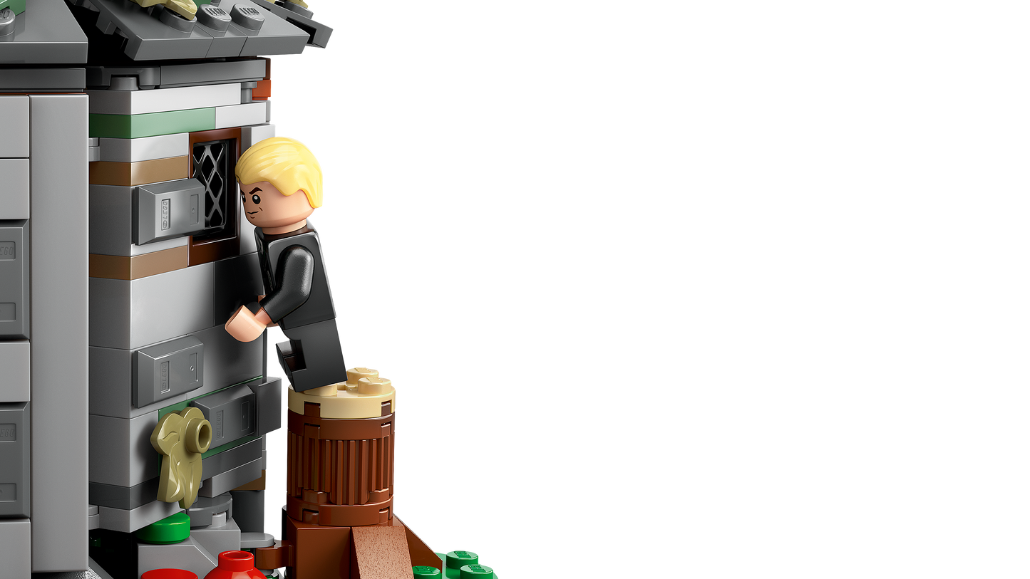 LEGO® Harry Potter 76428 Hagrids Hütte: Ein unerwarteter Besuch
