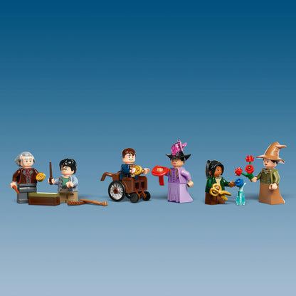 76439 Ollivanders™ & Madam Malkin's Robes