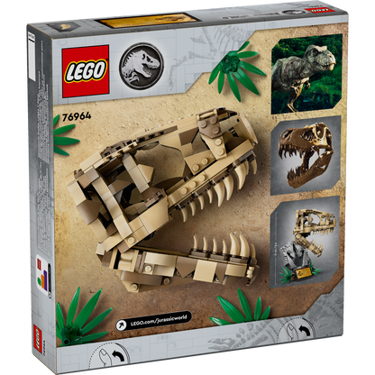 76964 Dinosaurusfossielen: T. rex-schedel