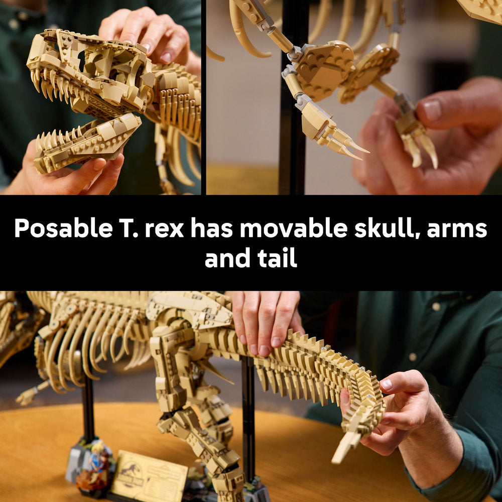 76968 Dinosaur Fossils Tyrannosaurus Rex