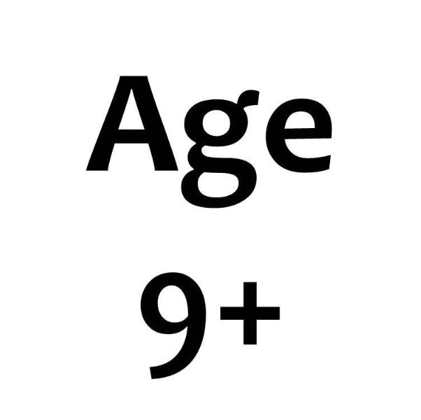 40499 Santa's Sleigh