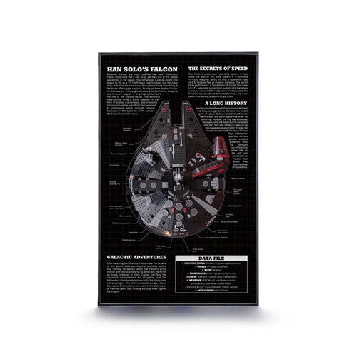 dia_frame_75389_ STAR WARS Dark Millennium Falcon_MPI01
