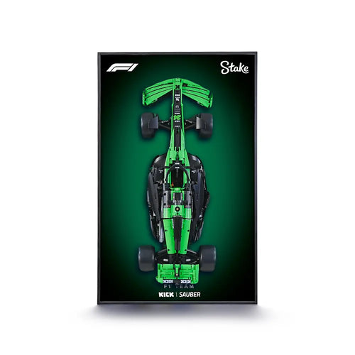 dia_frame_KICK SAUBER C44_MPI01